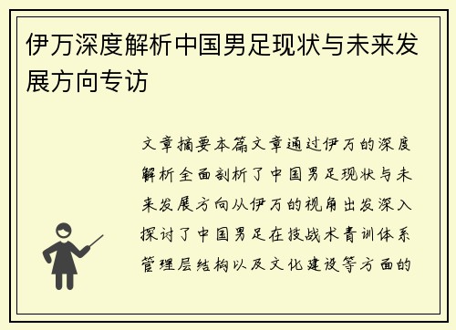 伊万深度解析中国男足现状与未来发展方向专访 伊万深度解析中国男足现状与未来发展方向专访
